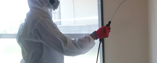 「害虫駆除」イメージ写真